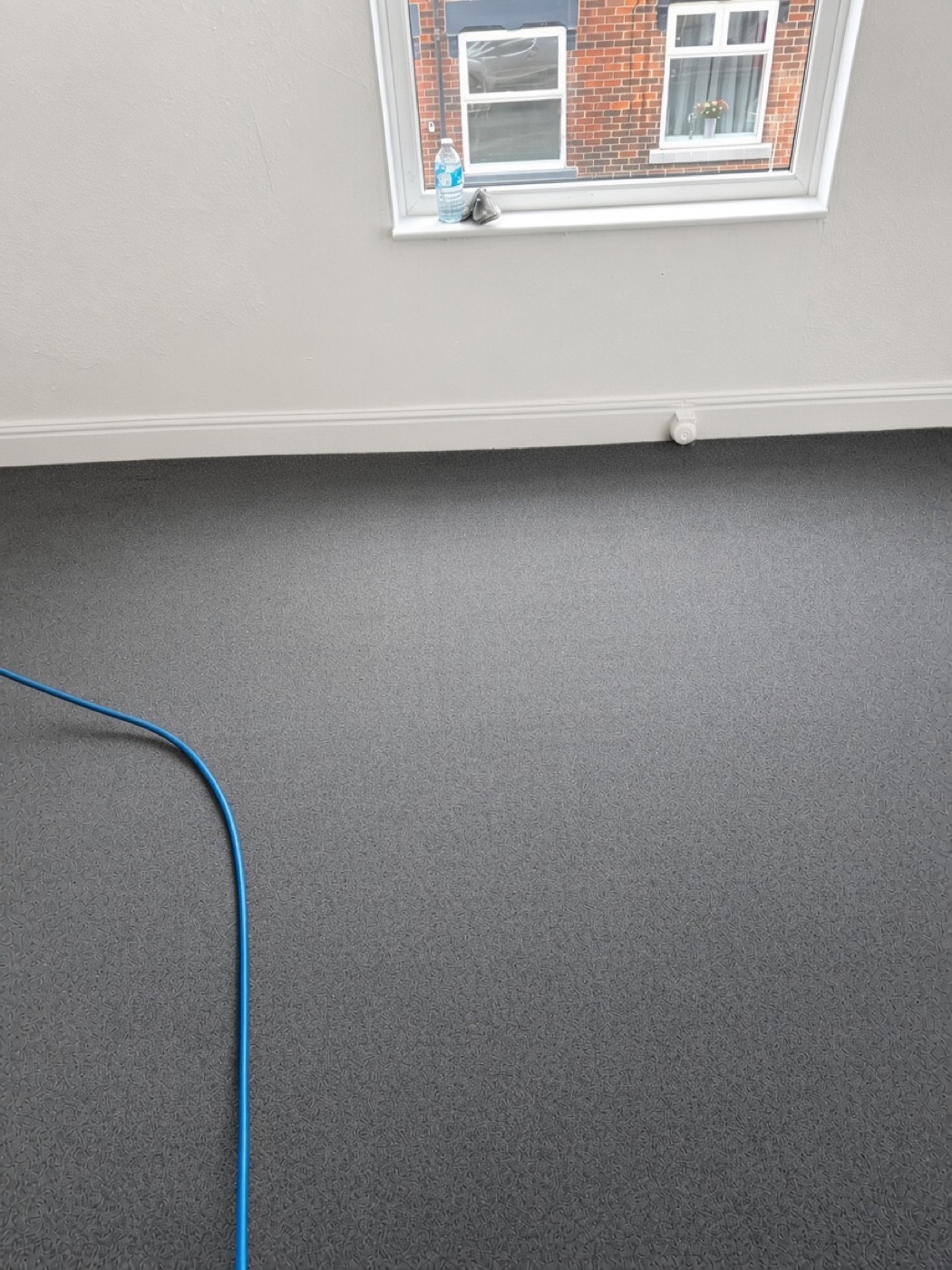 Carpet Cleaning by Ecologics Cleaning